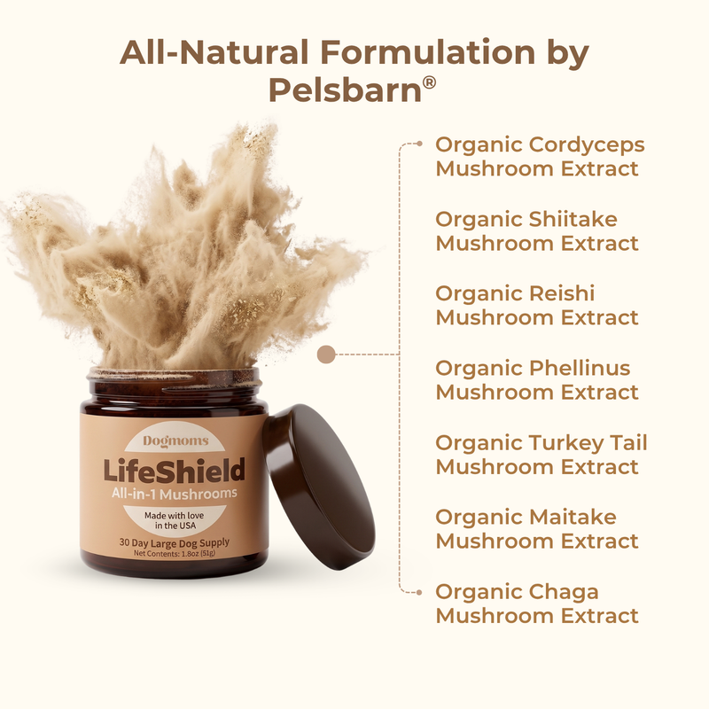 Lifeshield All-in-1 Mushroom Supplement