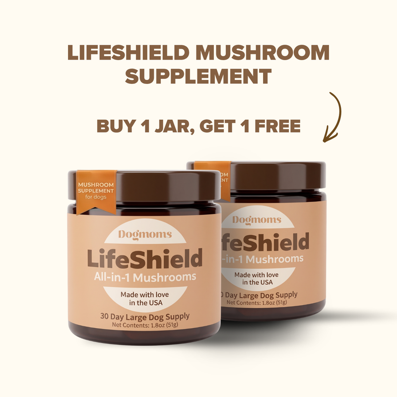 Lifeshield All-in-1 Mushroom Supplement