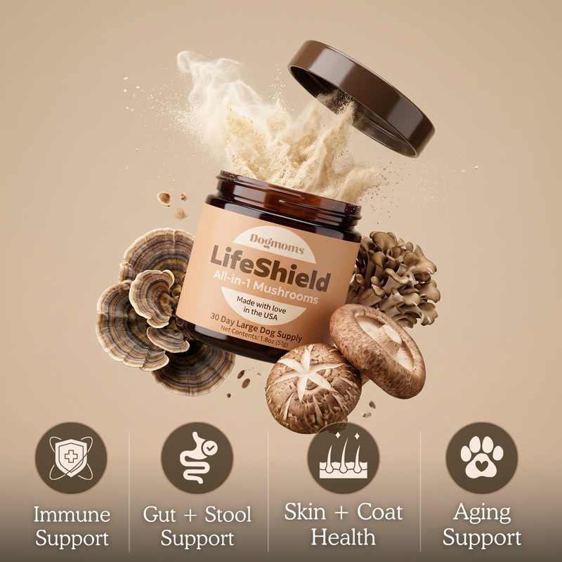 Lifeshield All-in-1 Mushroom Supplement
